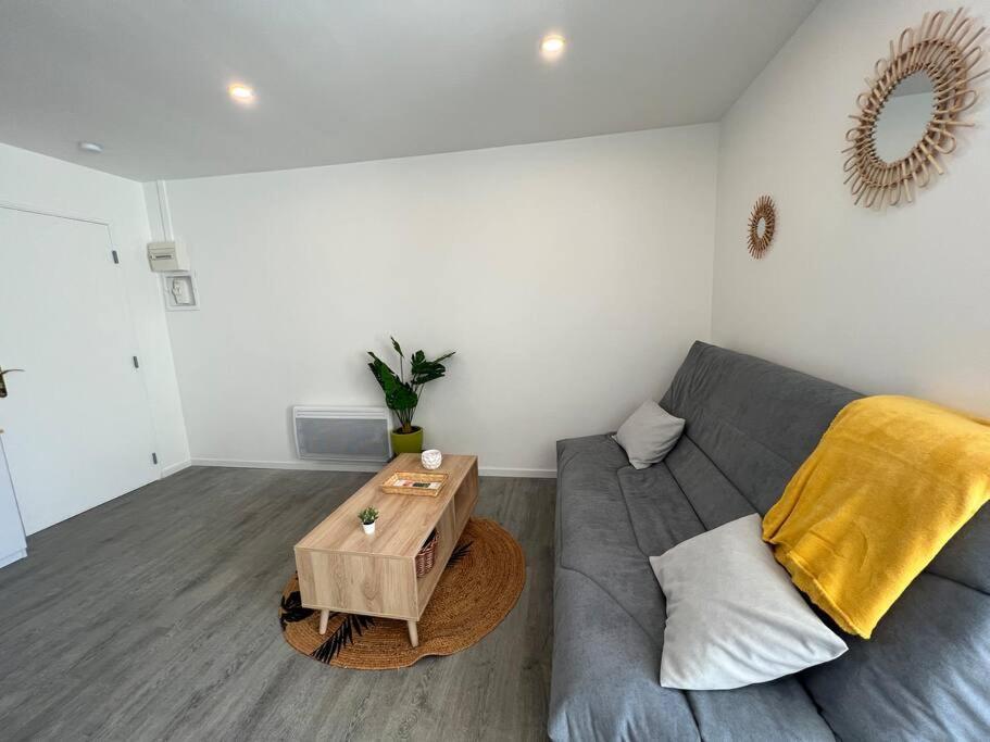 Apartment Le Palais Maya - Lumineux - Wifi *